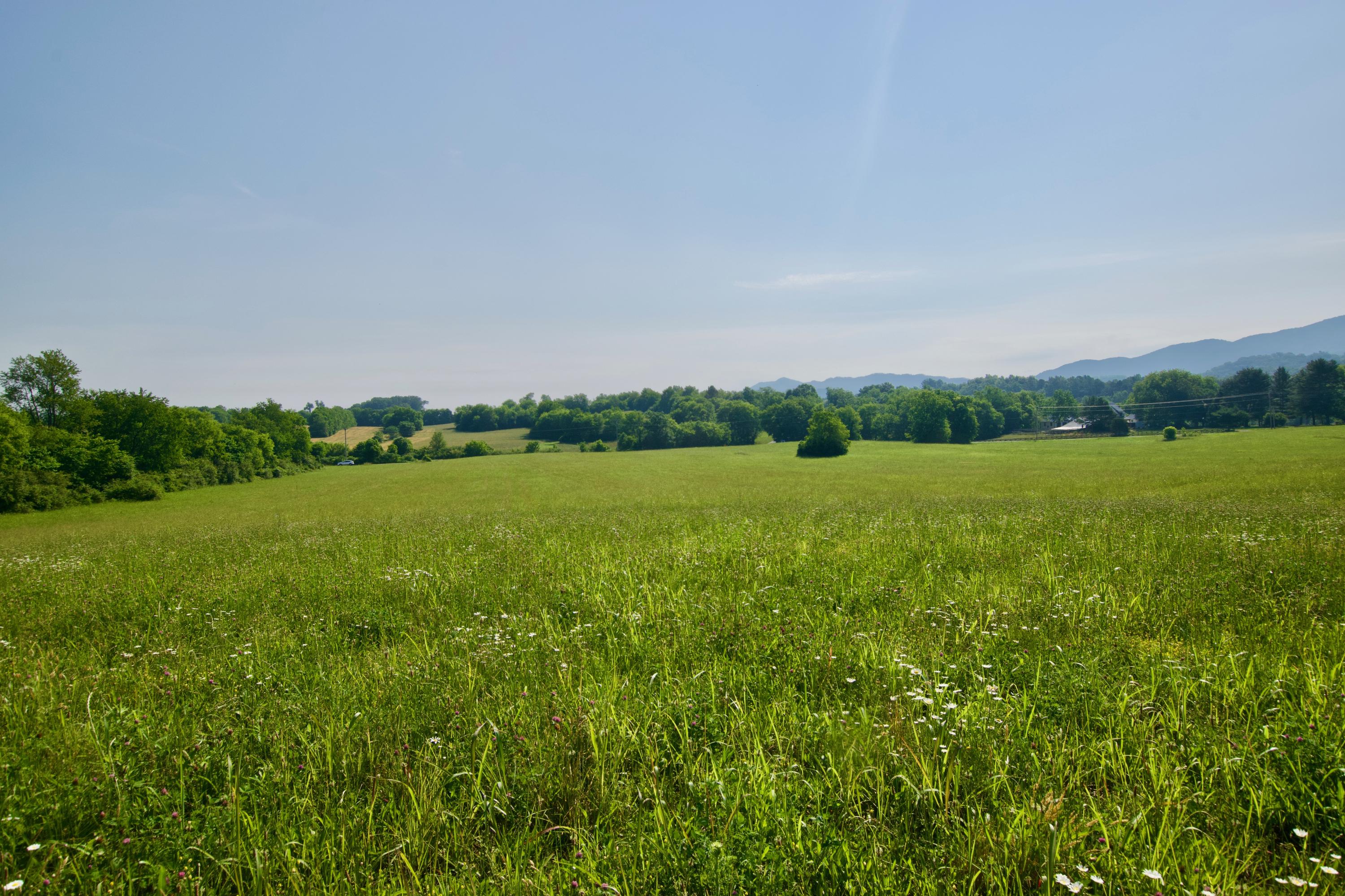Lot 5 Chilhowee View Road Maryville, TN 37803 - Photo 3 of 4 DSC_0610