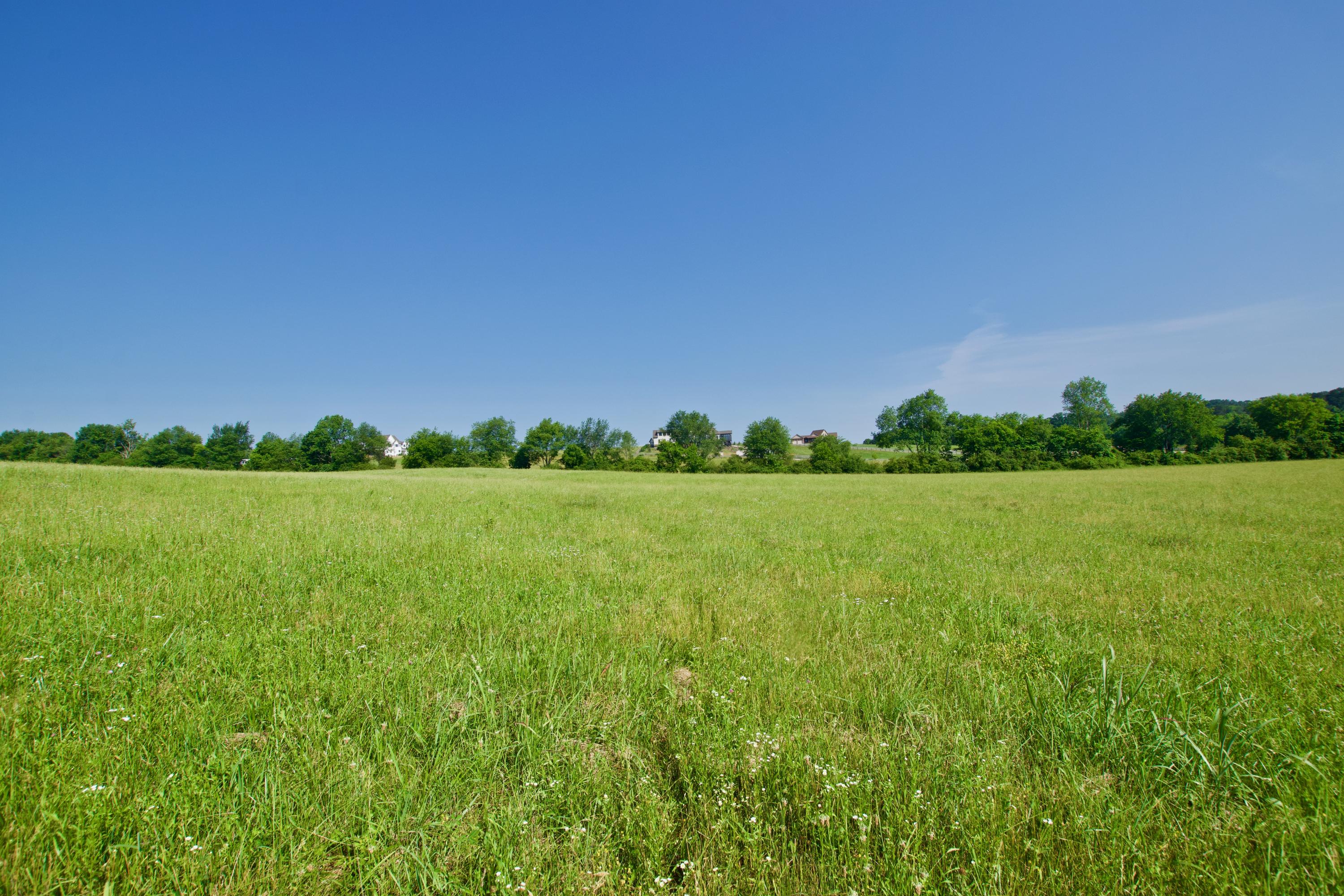 Lot 5 Chilhowee View Road Maryville, TN 37803 - Photo 4 of 4 DSC_0612