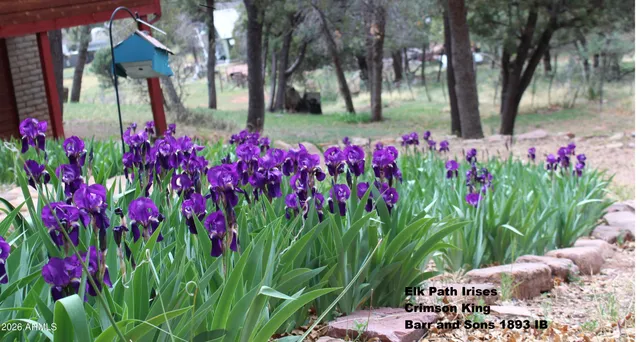 $984,900 | 6405 Pine Cone Trail, Pine, AZ 85544