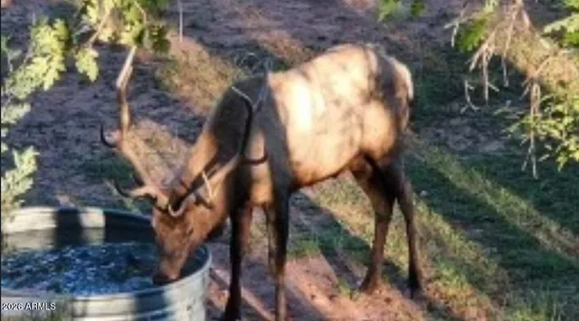 $984,900 | 6405 Pine Cone Trail, Pine, AZ 85544