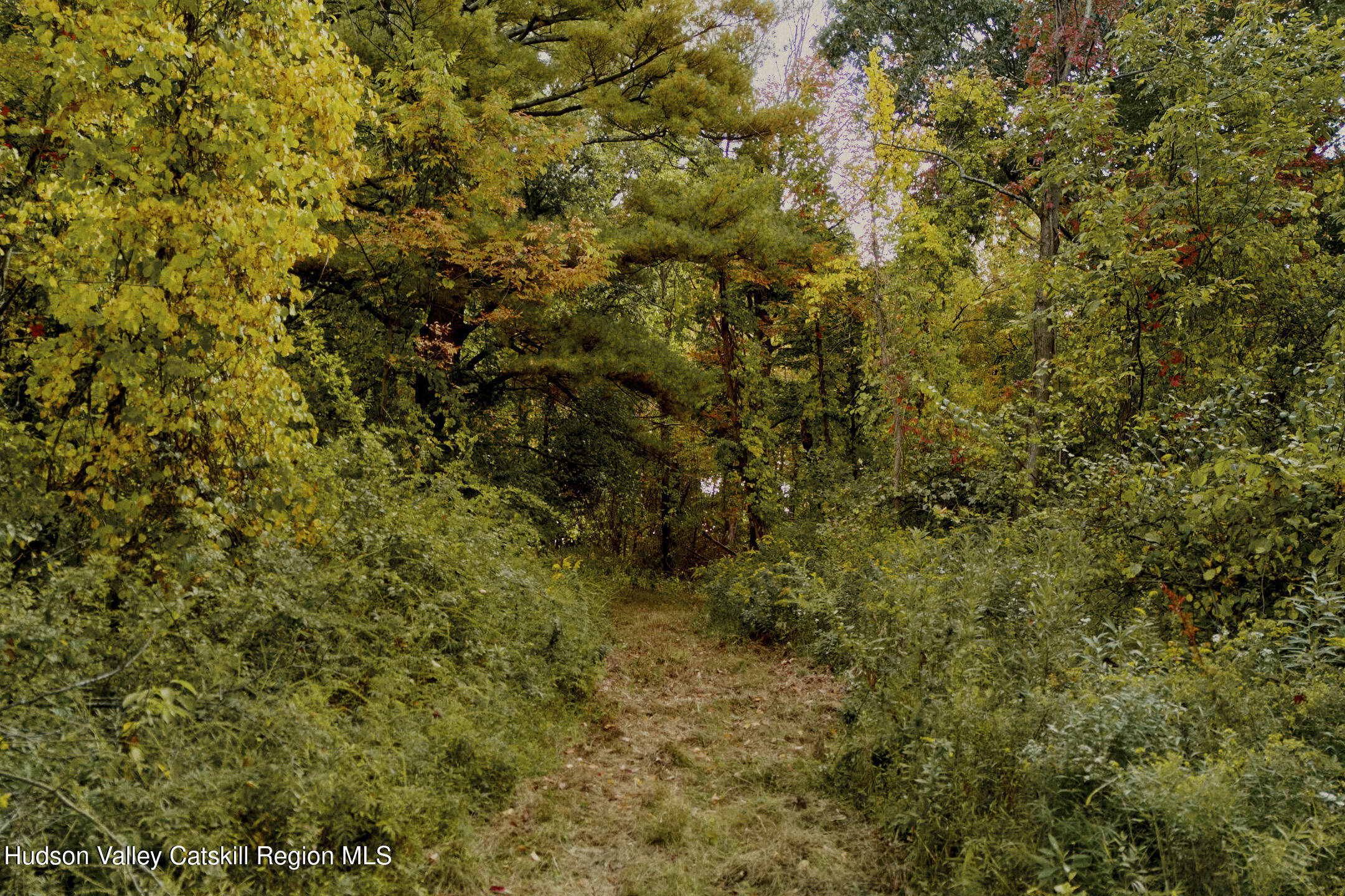 1320 River Road Schodack, NY 12156 - Photo 11 of 27 Copy of 2024.09.24_LM_SCHODACKLANDING__0