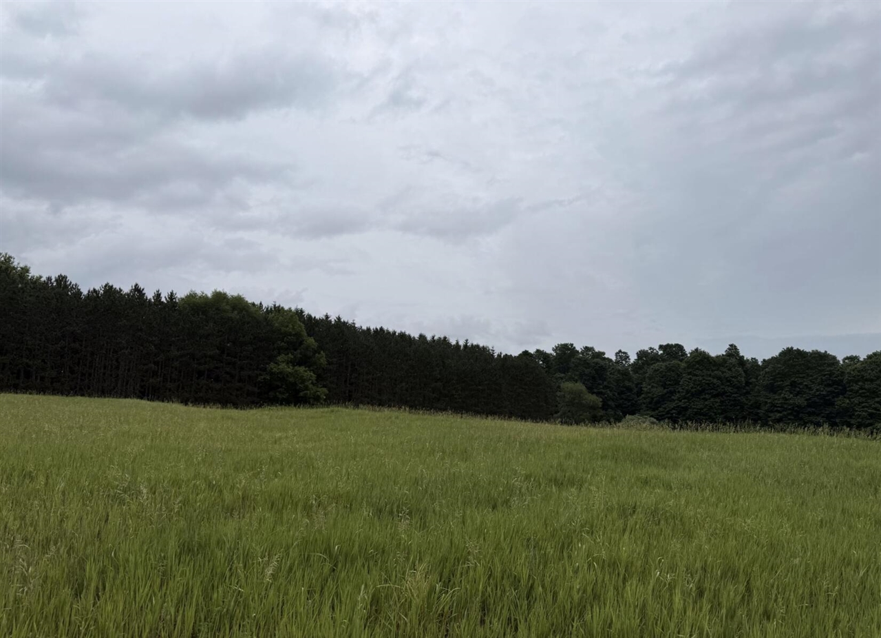 Eight Mile Road Kaleva, MI 49645 - Photo 4 of 14