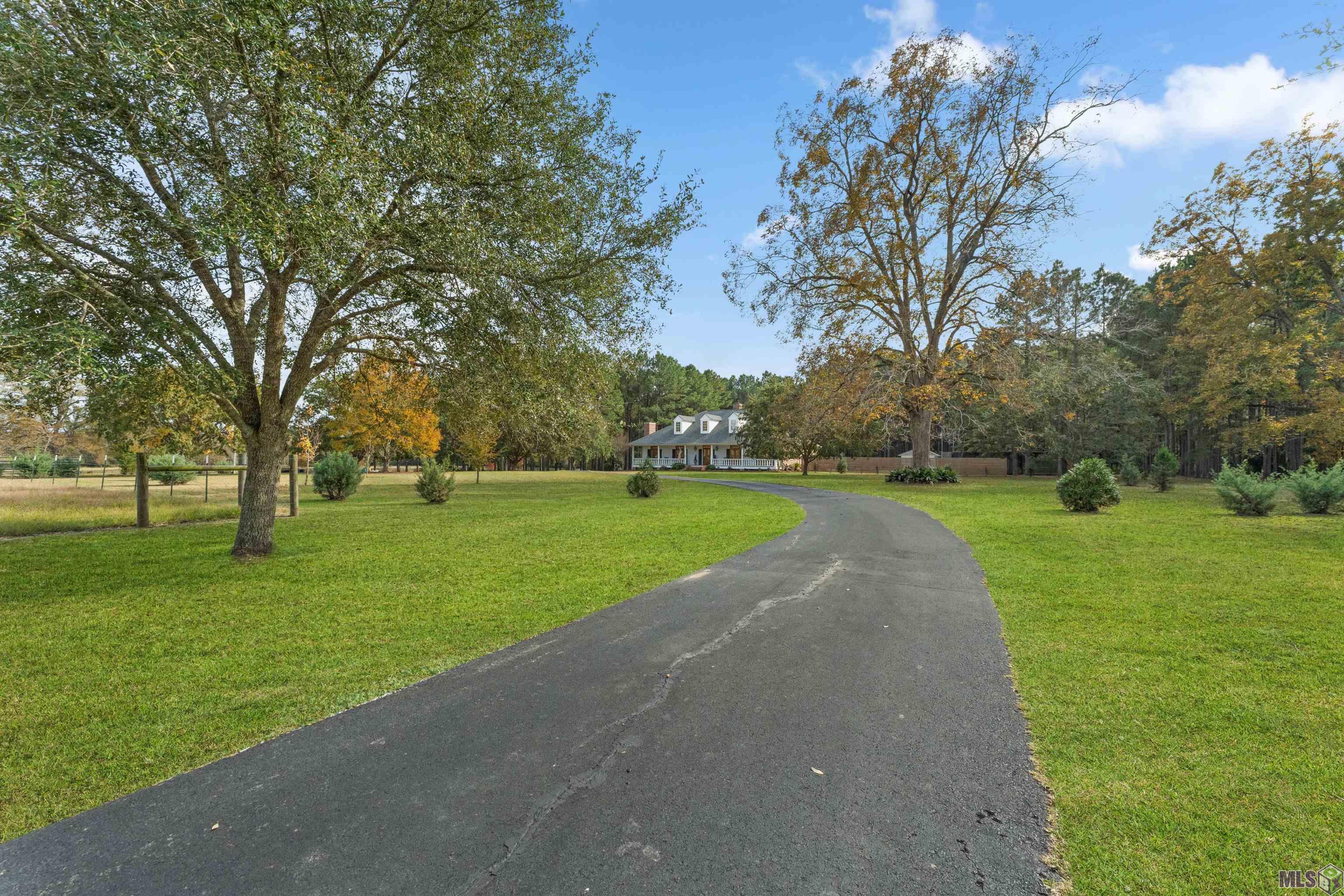 979 Thompson Road Slaughter, LA 70777 - Photo 4 of 60