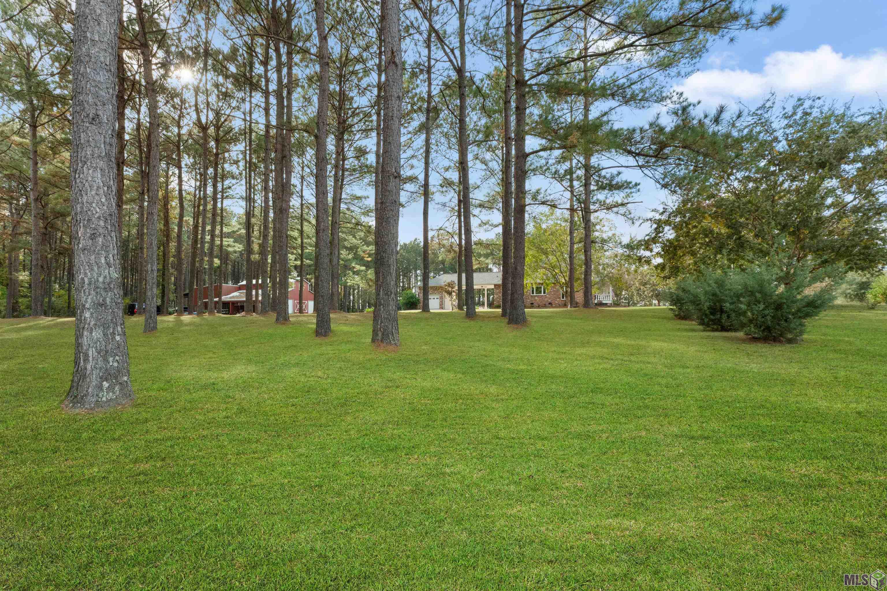 979 Thompson Road Slaughter, LA 70777 - Photo 53 of 60