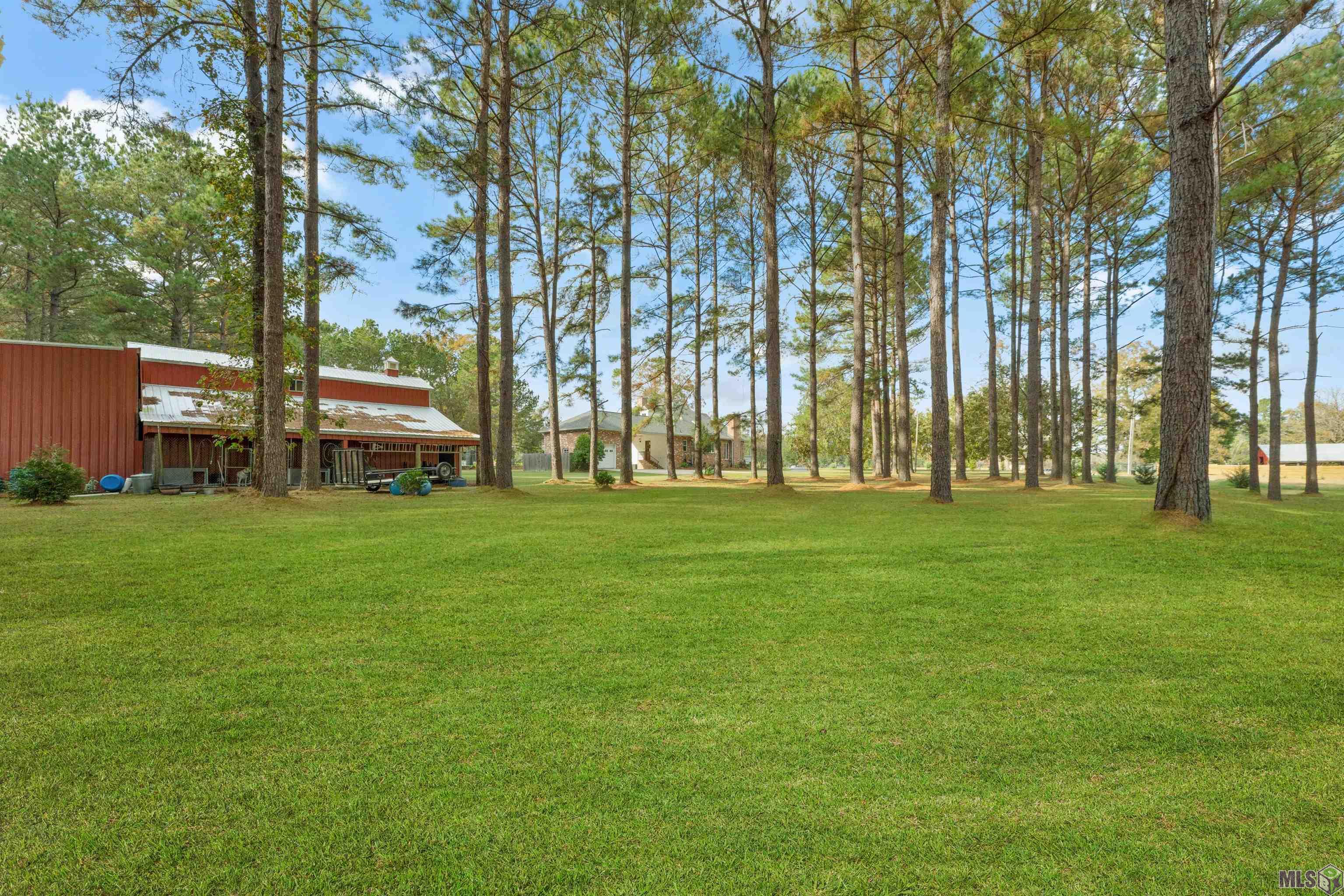 979 Thompson Road Slaughter, LA 70777 - Photo 54 of 60