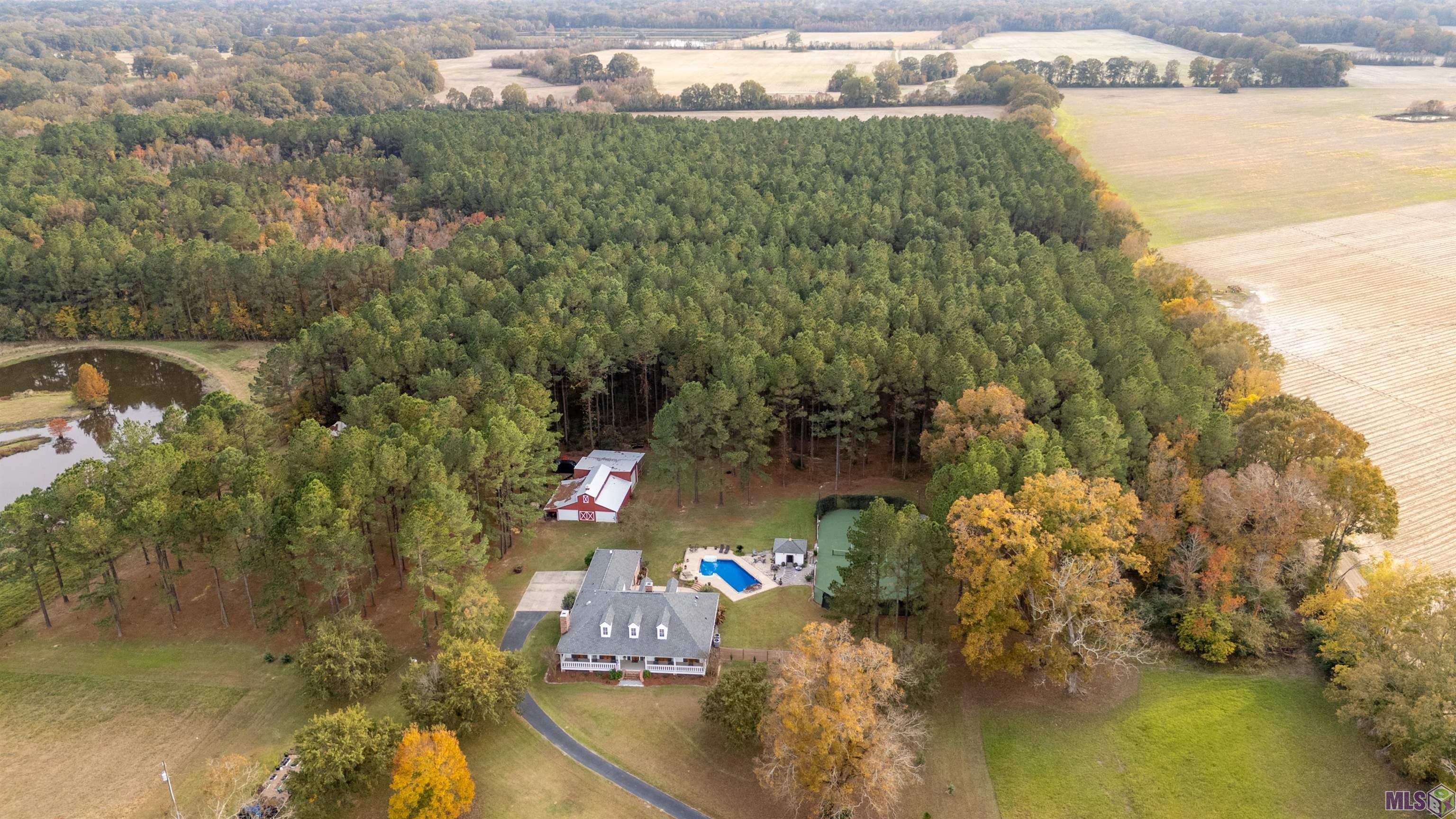 979 Thompson Road Slaughter, LA 70777 - Photo 60 of 60