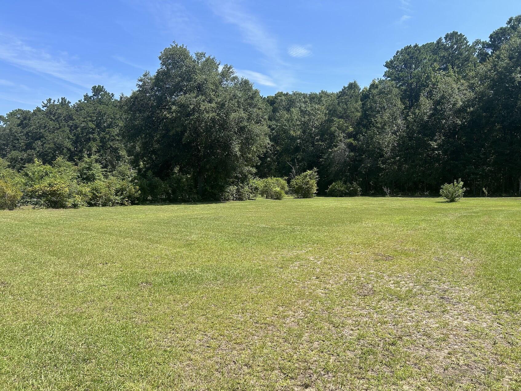 7078 Savannah Highway Ravenel, SC 29470 - Photo 4 of 13 IMG_3511