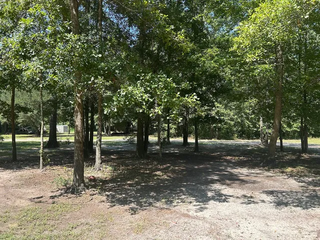 $2,900,000 | 7078 Savannah Highway, Ravenel, SC 29470