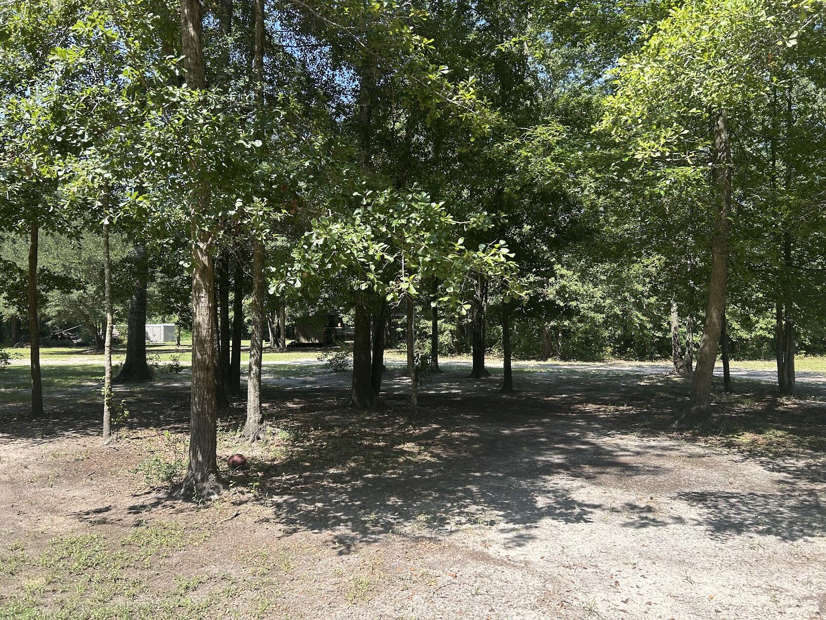 7078 Savannah Highway Ravenel, SC 29470 - Photo 8 of 13 IMG_3516