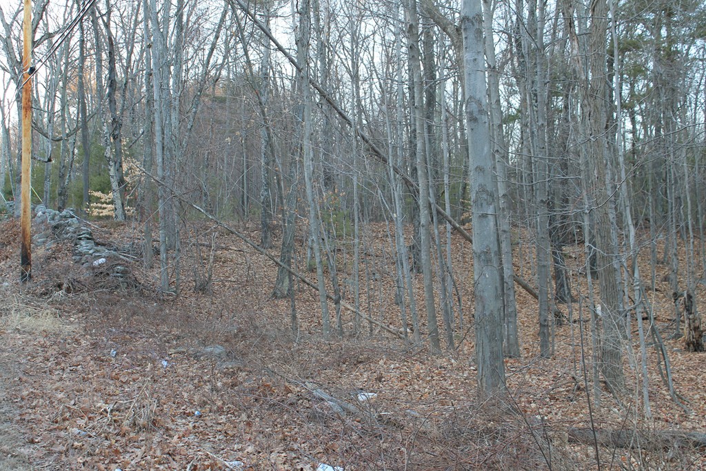 0 Sterling Road Princeton, MA 01541 - Photo 2 of 16 a view of a forest