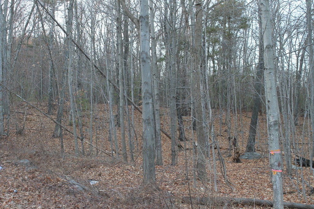 0 Sterling Road Princeton, MA 01541 - Photo 5 of 16