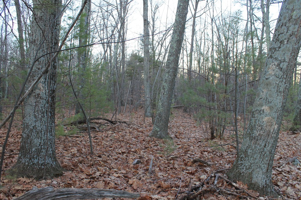 0 Sterling Road Princeton, MA 01541 - Photo 7 of 16