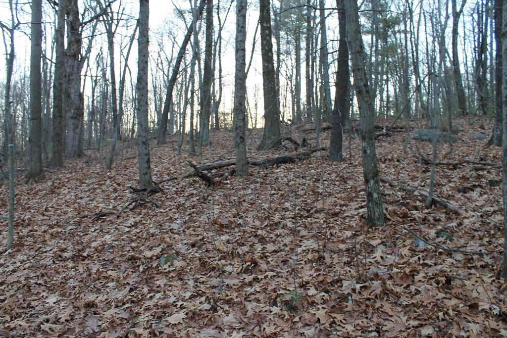0 Sterling Road Princeton, MA 01541 - Photo 8 of 16 a big yard with lots of green space