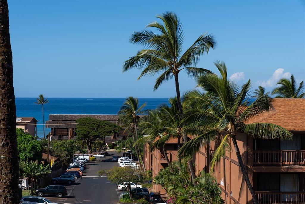 a couple of palm trees in front of a house