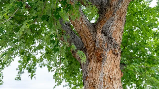 $775,000 | 755 34th Street, Boulder, CO 80303