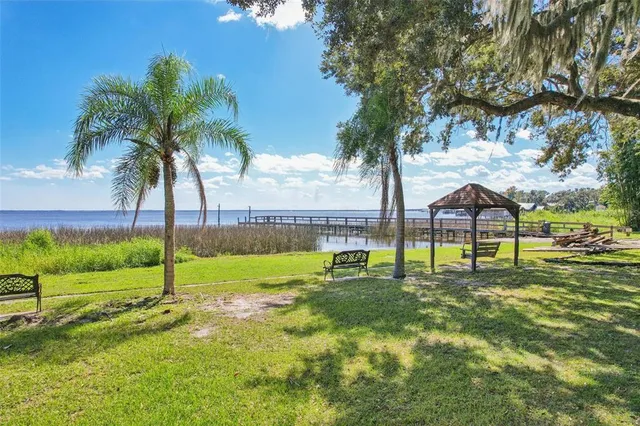 a view of a park with a big yard