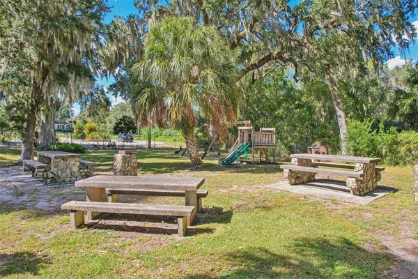 a park view with a bench and trees