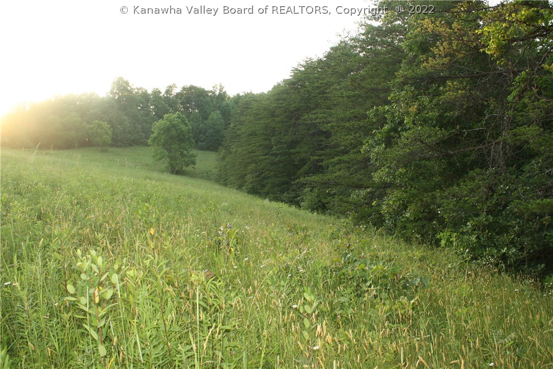249 White Pine Road Kenna, WV 25248 - Photo 22 of 26 Back meadow