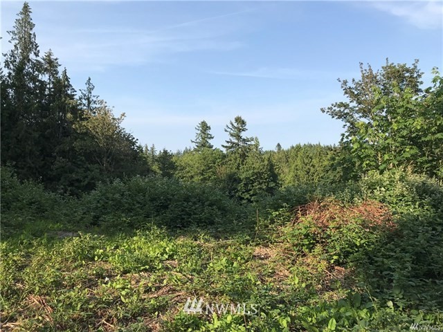 0 Sunset Lane Bremerton, WA 98310 - Photo 1 of 15 Gallery Image 1