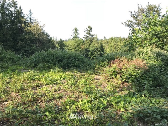 0 Sunset Lane Bremerton, WA 98310 - Photo 12 of 15 Gallery Image 12