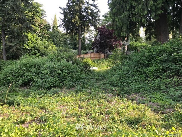 0 Sunset Lane Bremerton, WA 98310 - Photo 14 of 15 Gallery Image 14