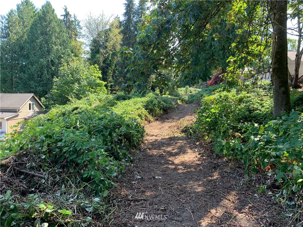 0 Sunset Lane Bremerton, WA 98310 - Photo 4 of 15 Gallery Image 4