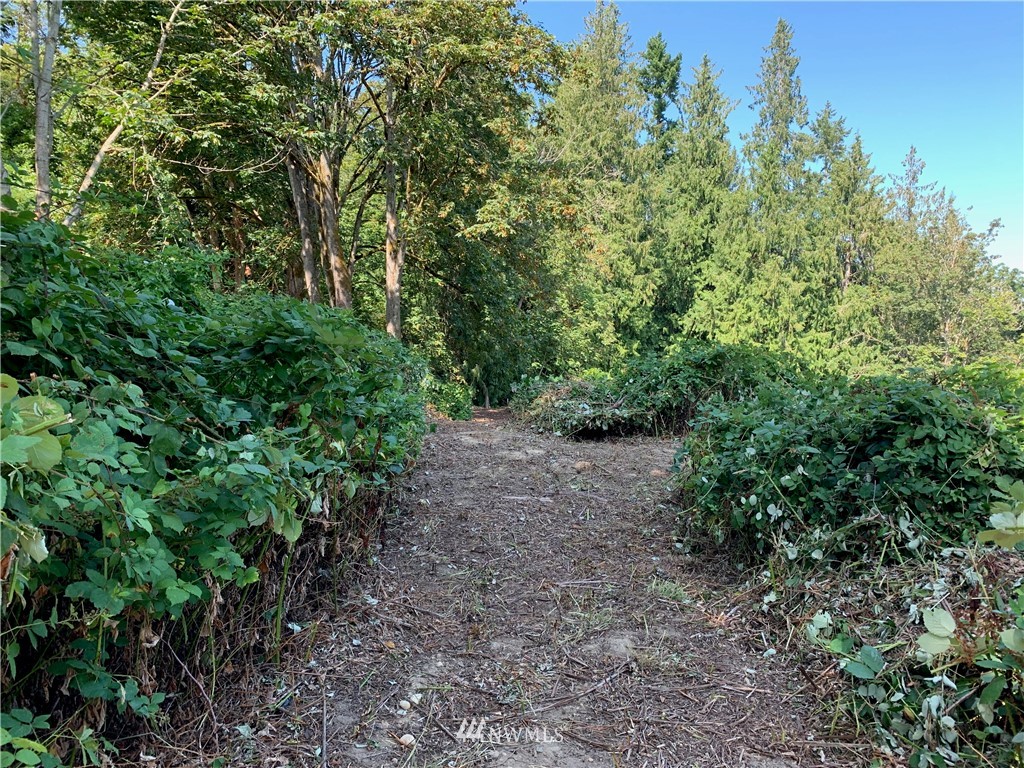 0 Sunset Lane Bremerton, WA 98310 - Photo 6 of 15 Gallery Image 6