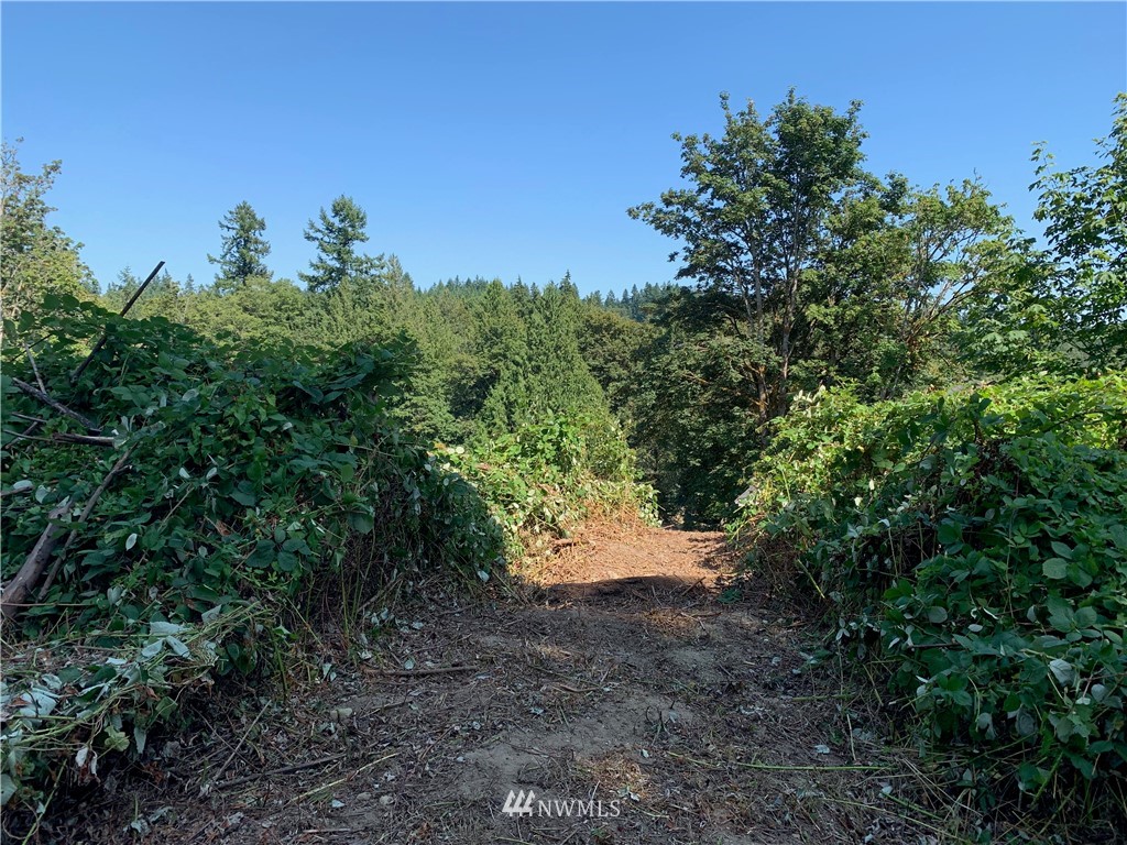 0 Sunset Lane Bremerton, WA 98310 - Photo 7 of 15 Gallery Image 7