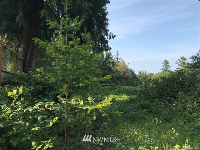 0 Sunset Lane Bremerton, WA 98310 - Photo 10 of 15 Gallery Image 10