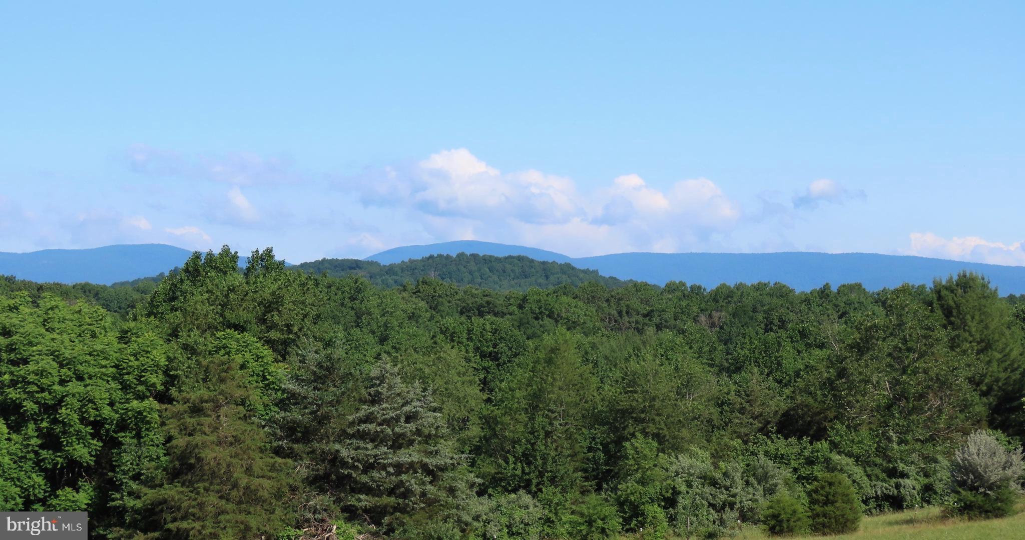 369 Hinsons Ford Road Amissville, VA 20106 - Photo 3 of 50 Blue Ridge Mountain view