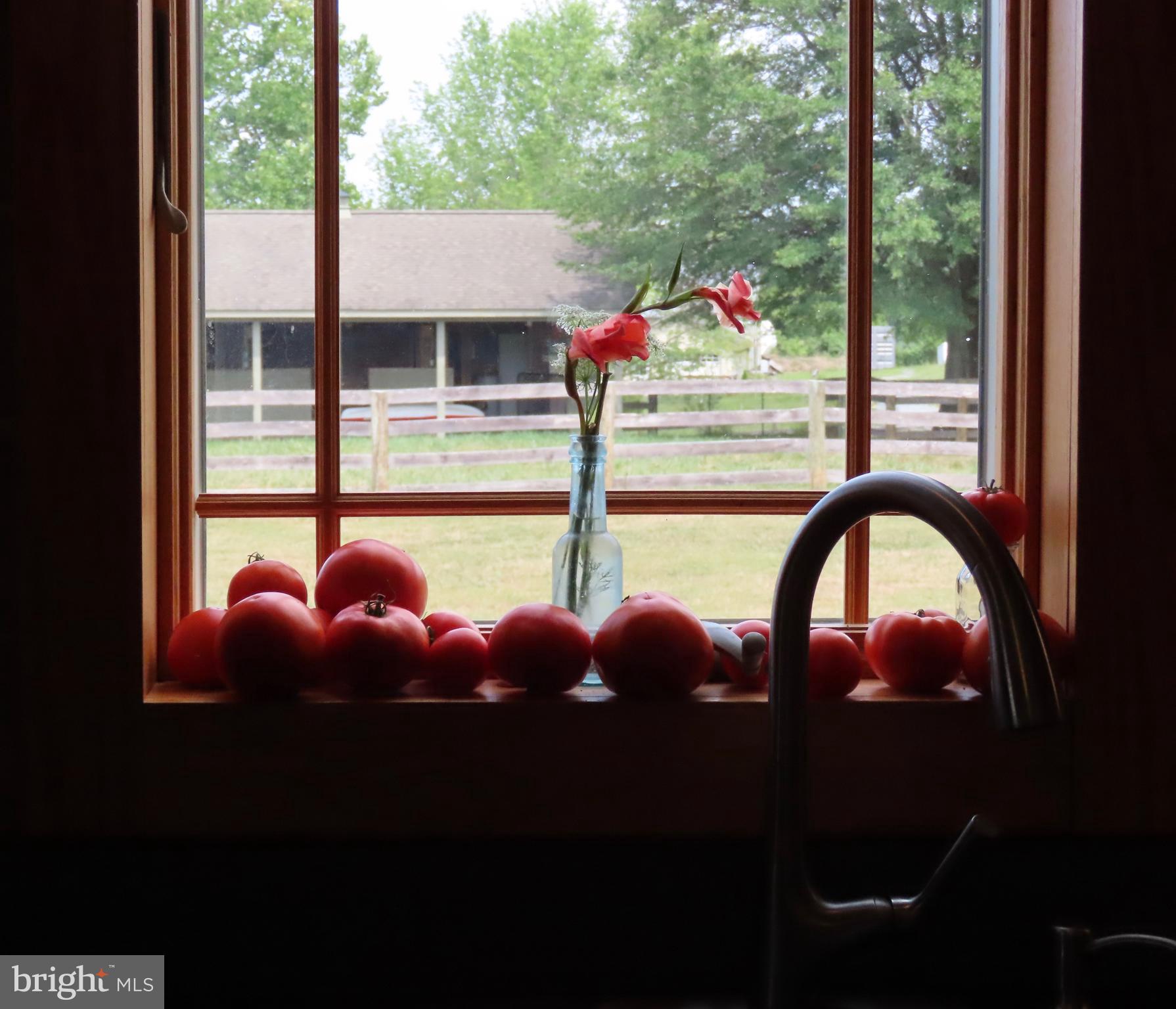369 Hinsons Ford Road Amissville, VA 20106 - Photo 27 of 50 View of the barnyard