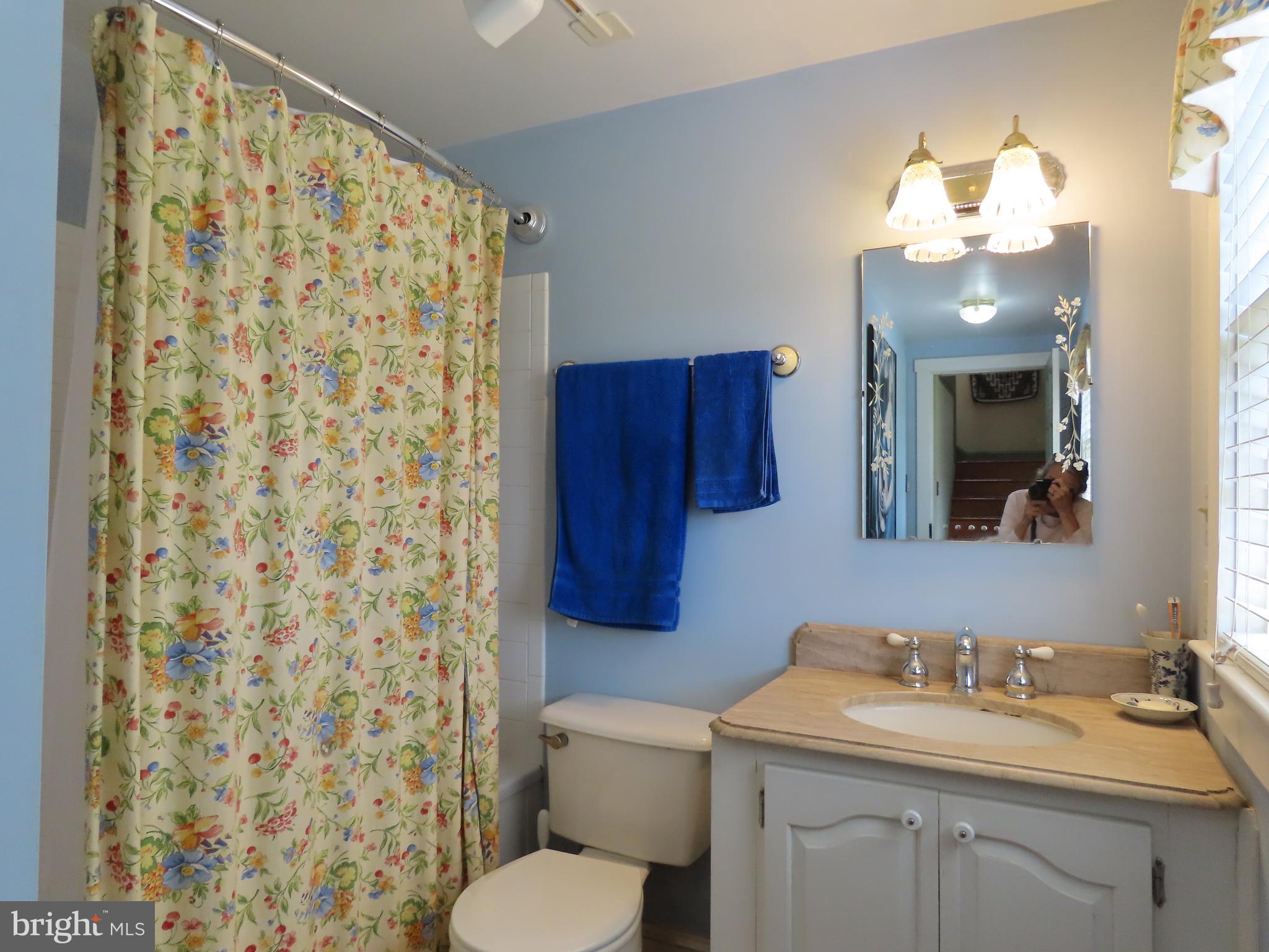 369 Hinsons Ford Road Amissville, VA 20106 - Photo 35 of 50 Bath on the main floor