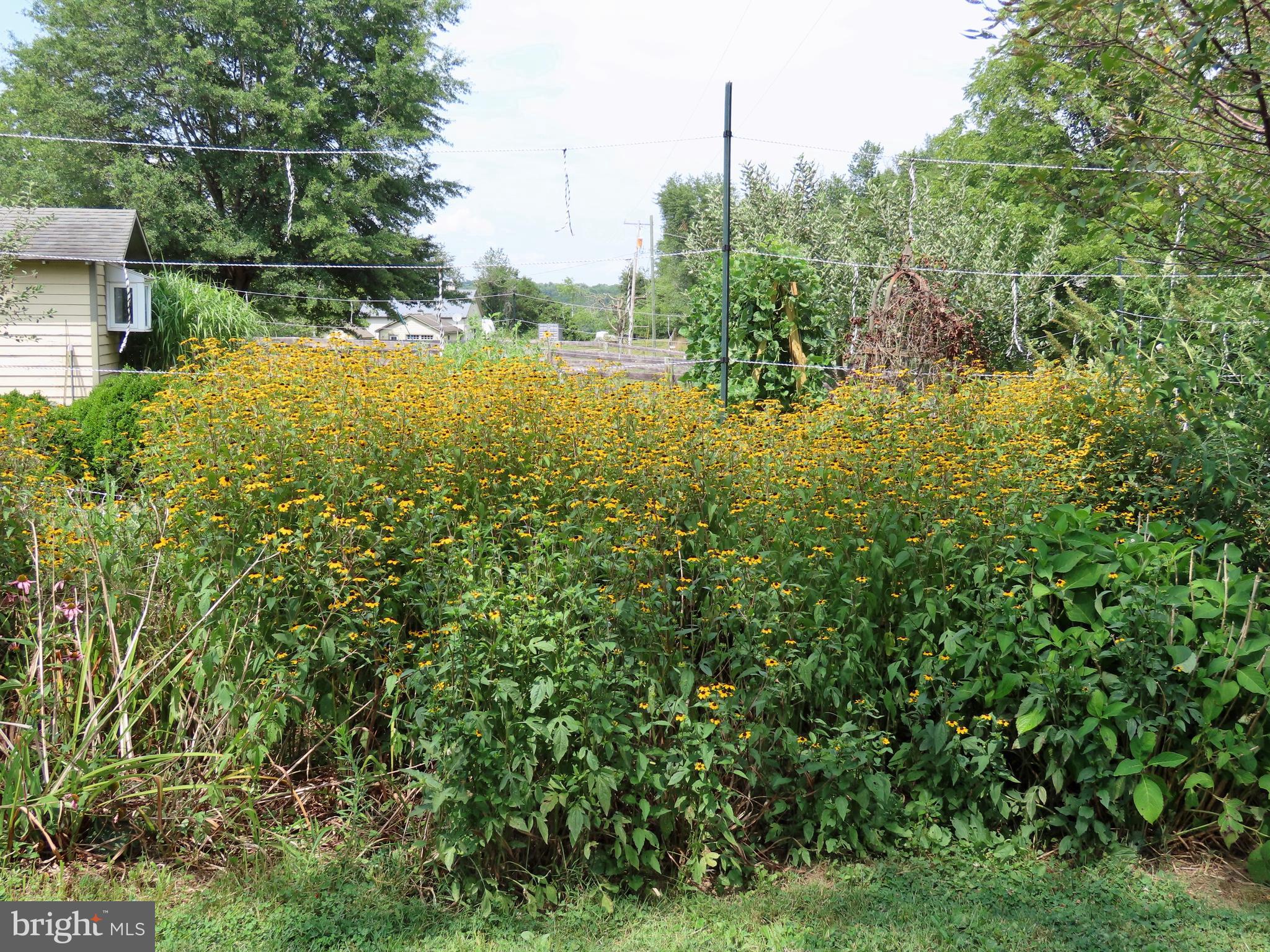 369 Hinsons Ford Road Amissville, VA 20106 - Photo 44 of 50 Flowers