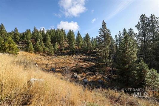 Tbd Joshua Drive, Unit 4 Cascade, ID 83611 - Photo 8 of 28