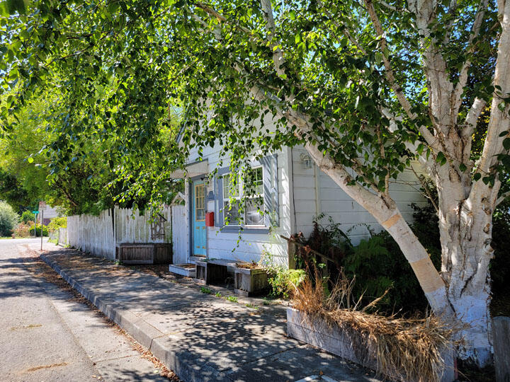 120 13th Street Arcata, CA 95521 - Photo 26 of 37 a view of backyard with plants and trees