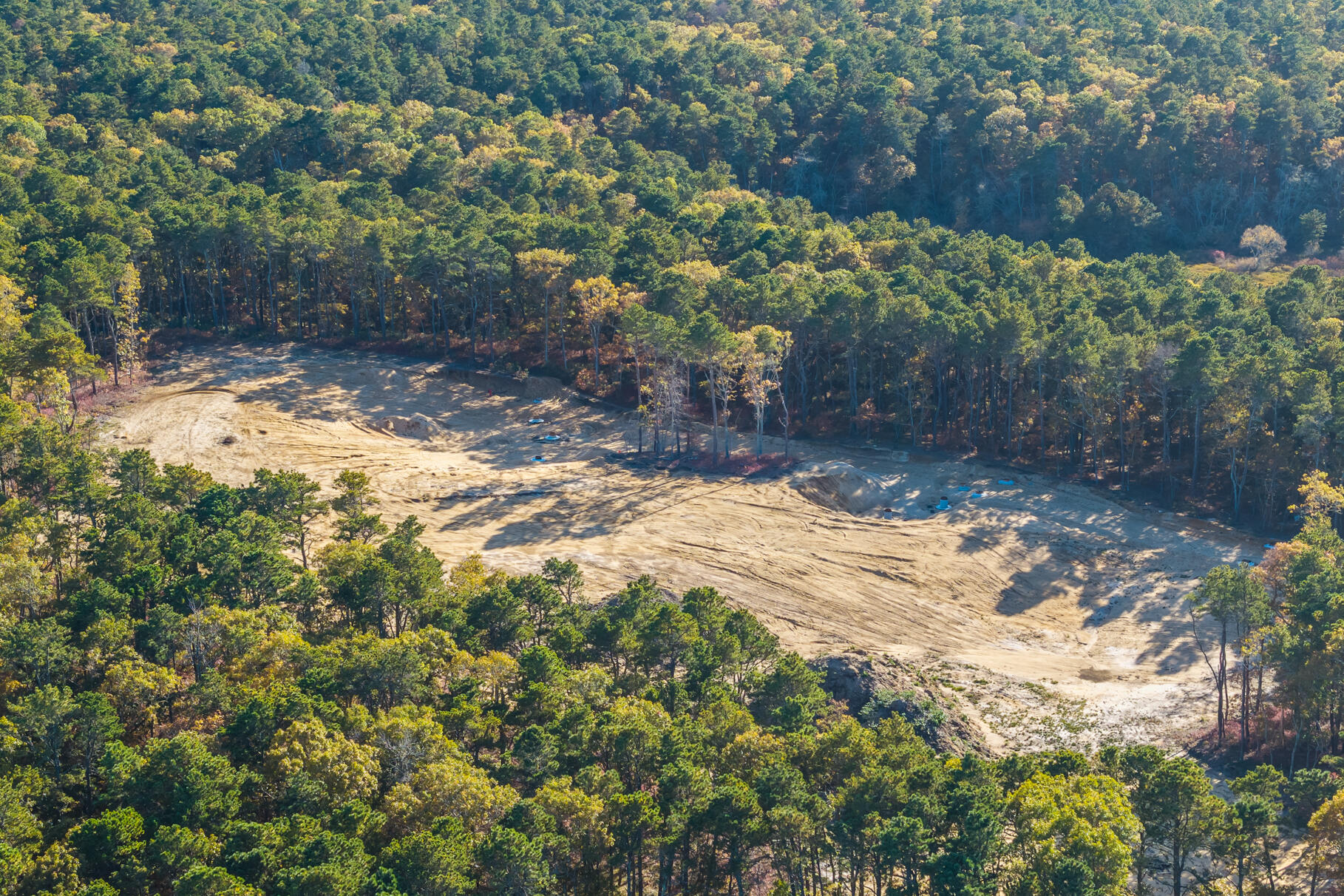 9 Bentley Road Harwich, MA 02645 - Photo 3 of 7 a view of a yard with plants and trees