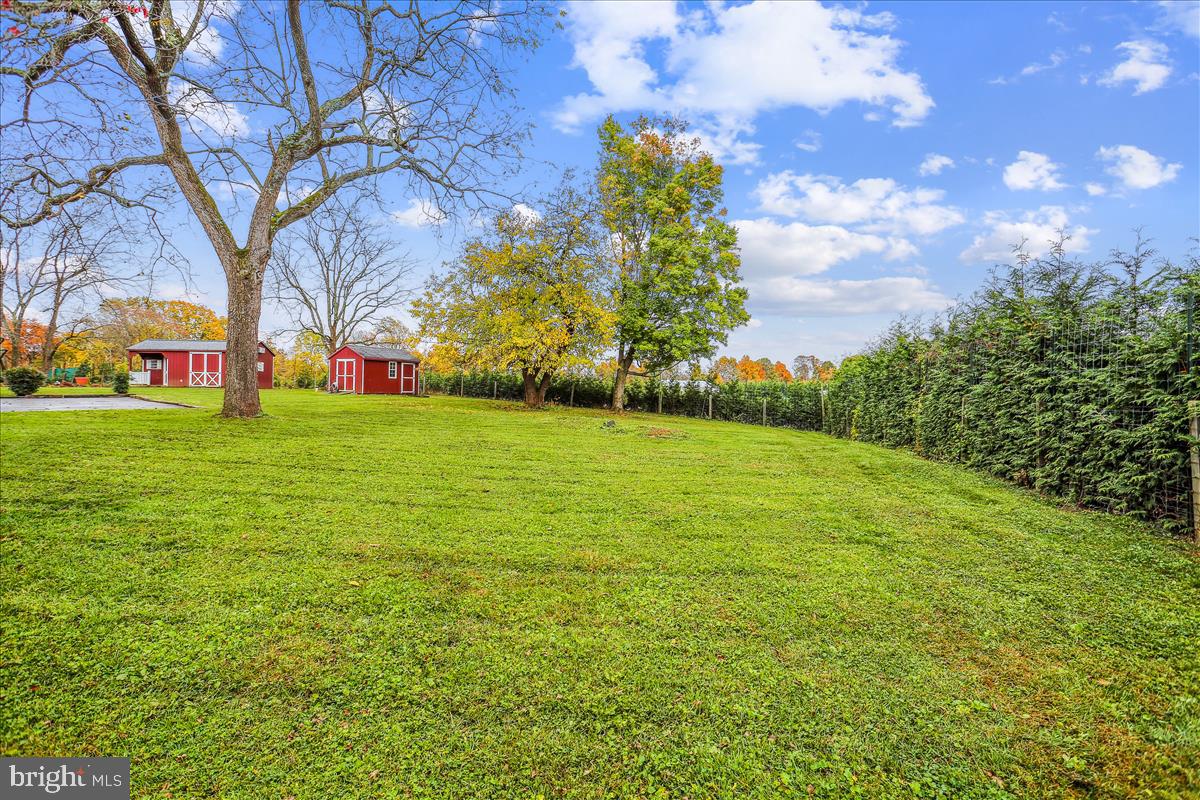10100 Moxley Road Damascus, MD 20872 - Photo 46 of 79 View from back door