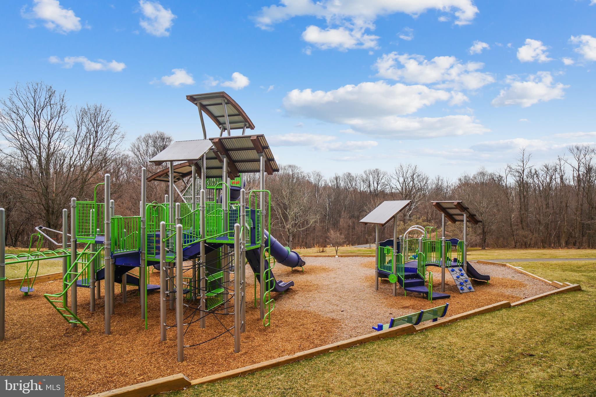 10100 Moxley Road Damascus, MD 20872 - Photo 67 of 79 Community - Damascus Recreational Park
