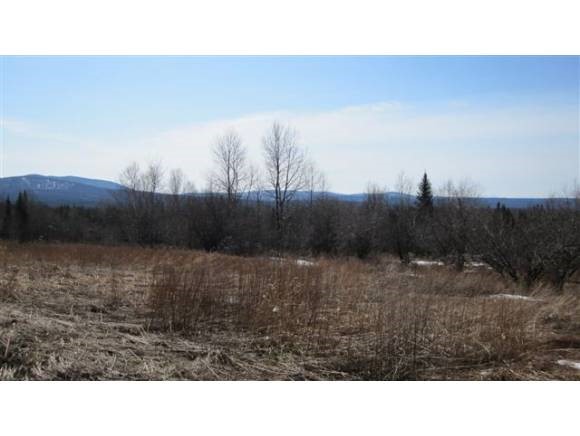 Lot #3 South Gaudette Road Norton, VT 05907 - Photo 5 of 8