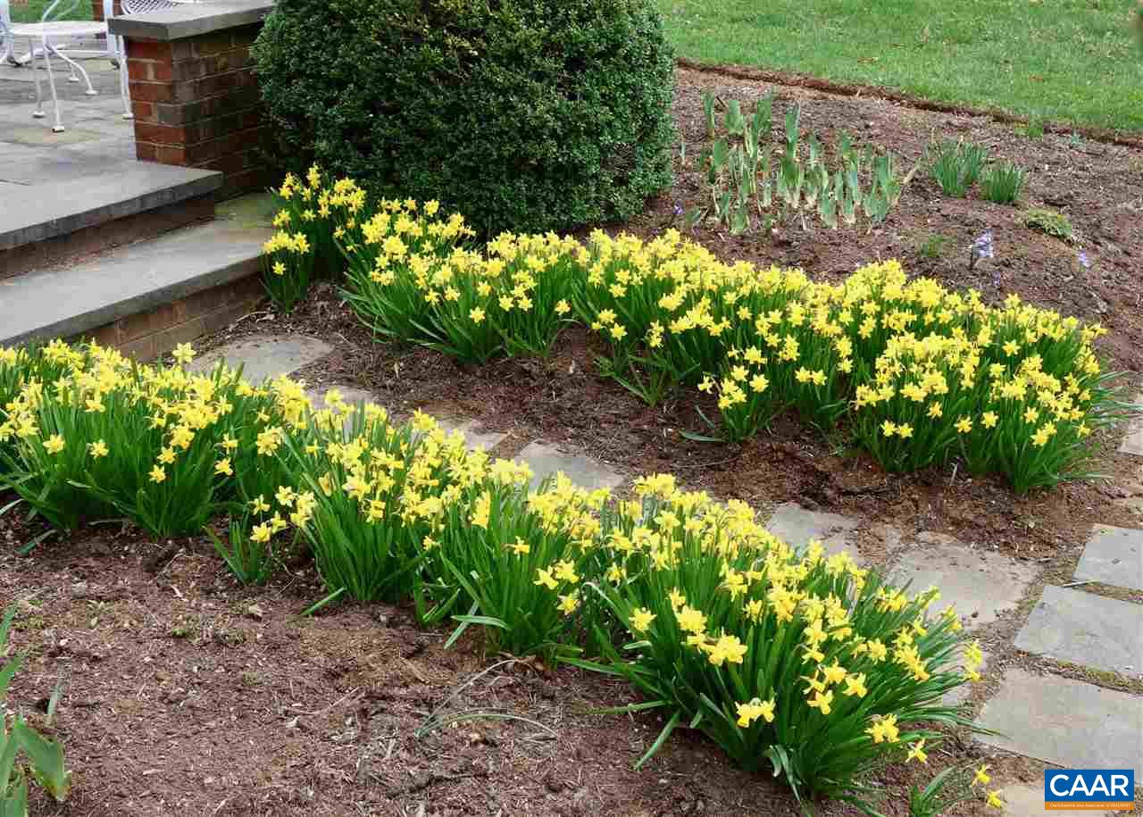 3897 Free Union Road Charlottesville, VA 22901 - Photo 36 of 47 a street view with flowers
