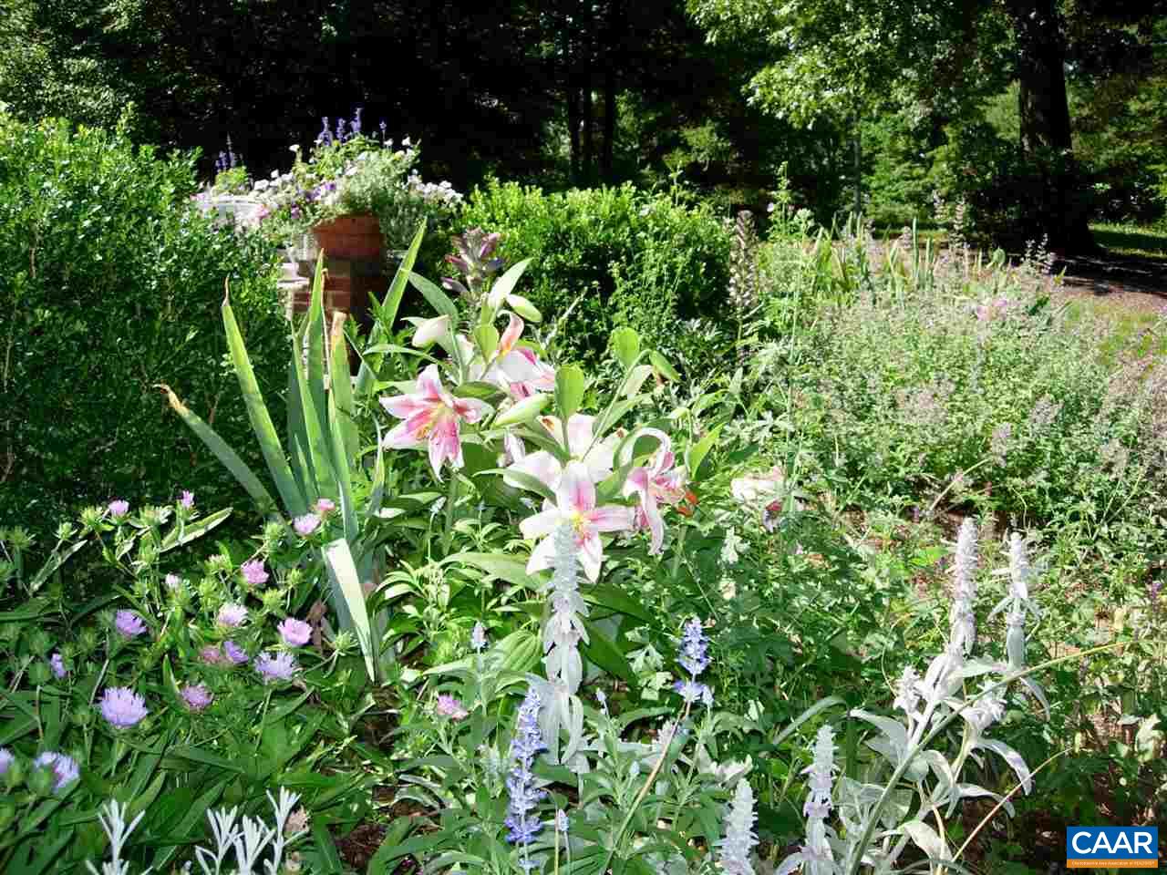 3897 Free Union Road Charlottesville, VA 22901 - Photo 39 of 47 a view of flowers in a garden