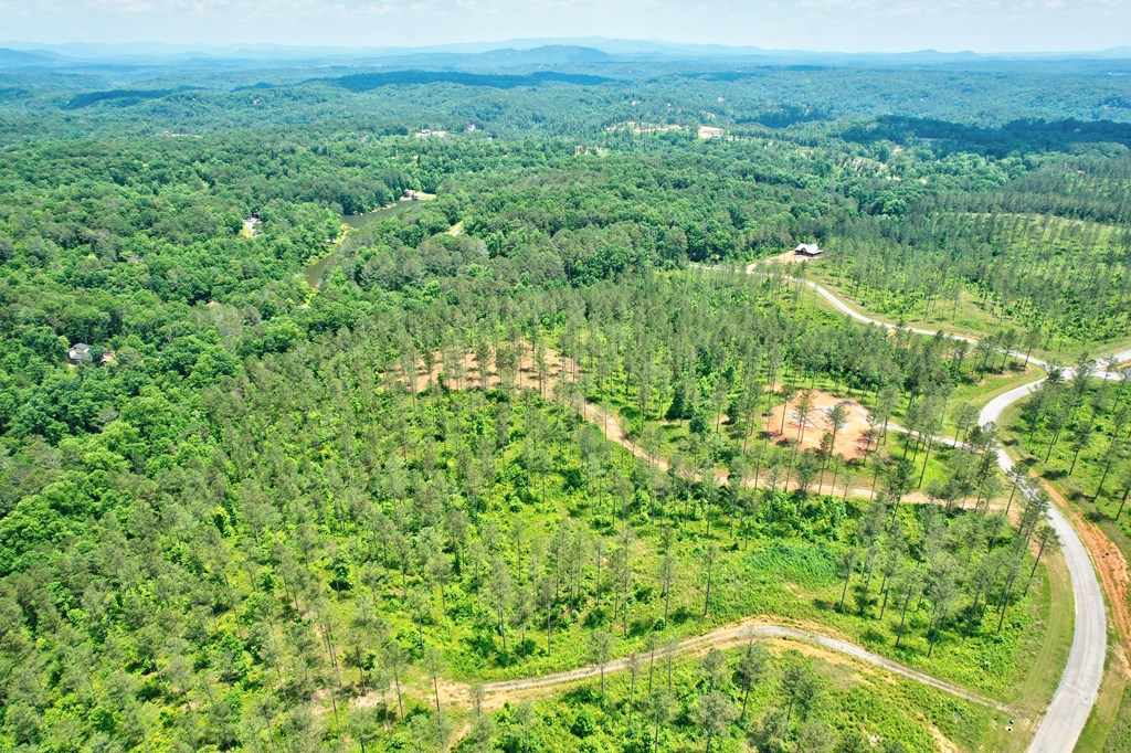 Lot 10 High River Road Ellijay, GA 30540 - Photo 22 of 31 Gallery Image 22