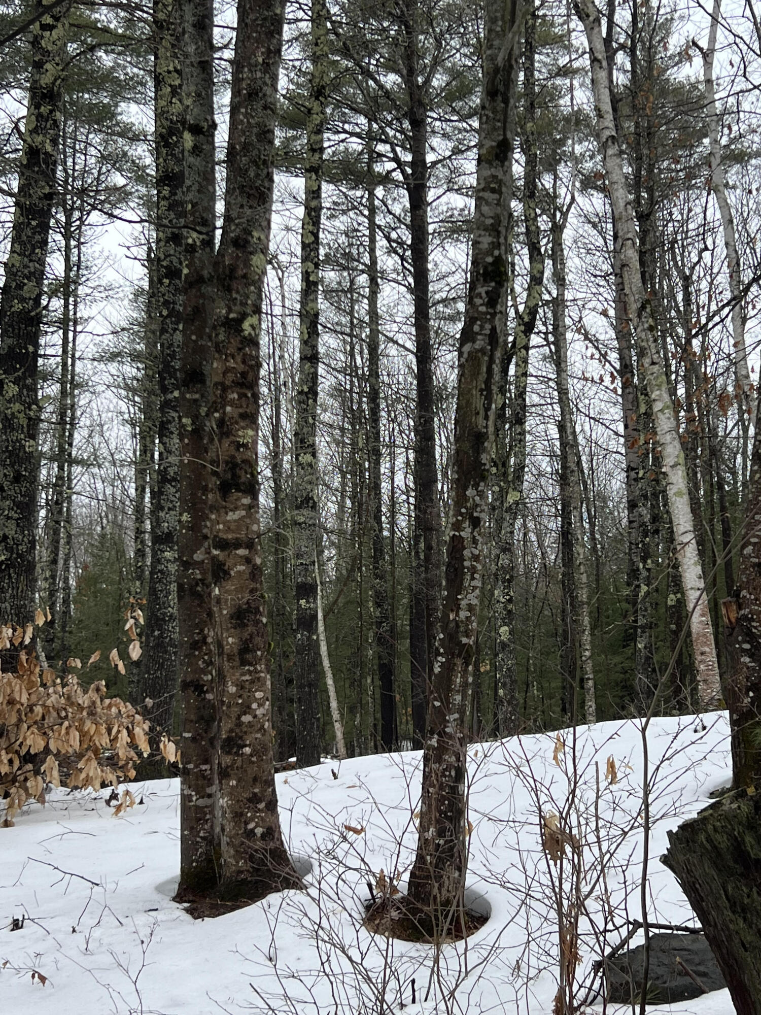 Lot 46-4 Middle Road North Waterboro, ME 04061 - Photo 1 of 1 333