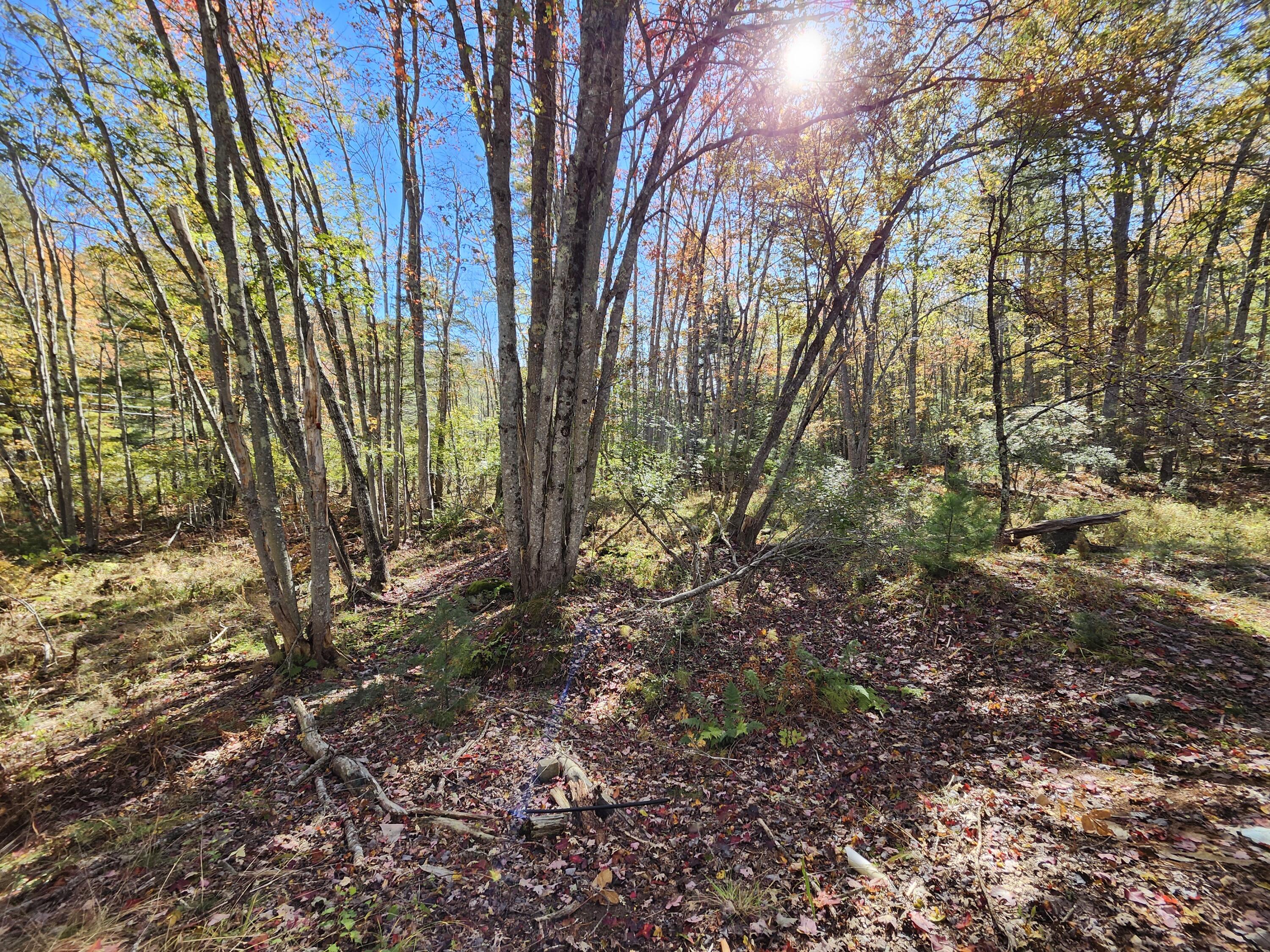 10 Heffron Lane Georgetown, ME 04548 - Photo 14 of 14 20241018_125728
