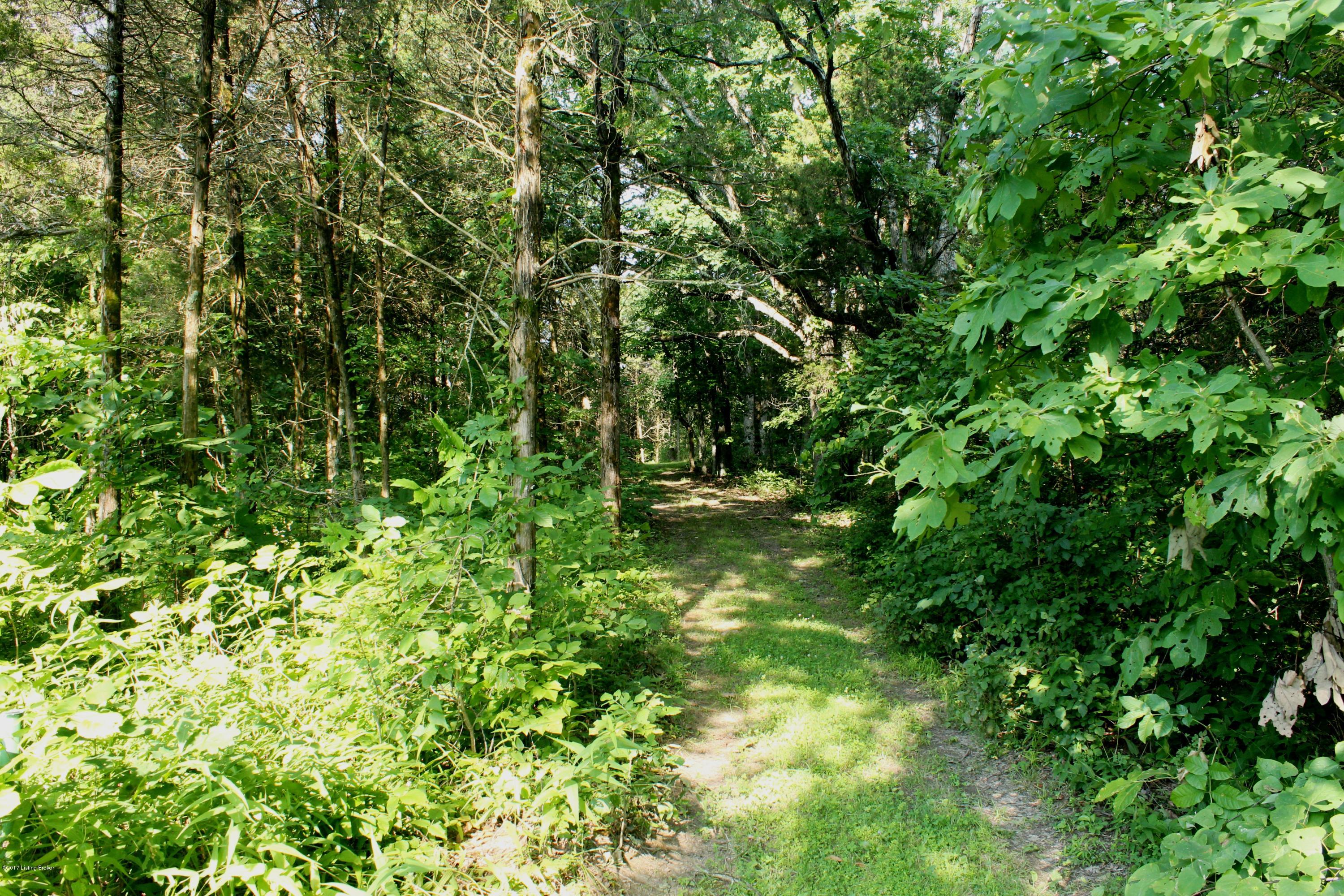 0 Hamilton Ridge Road Lockport, KY 40036 - Photo 29 of 31 005