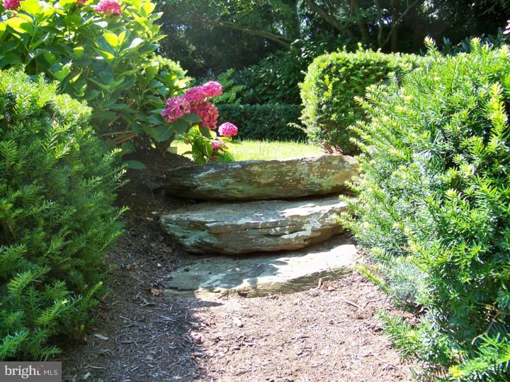 1477 Rydal Road Rydal, PA 19046 - Photo 5 of 25