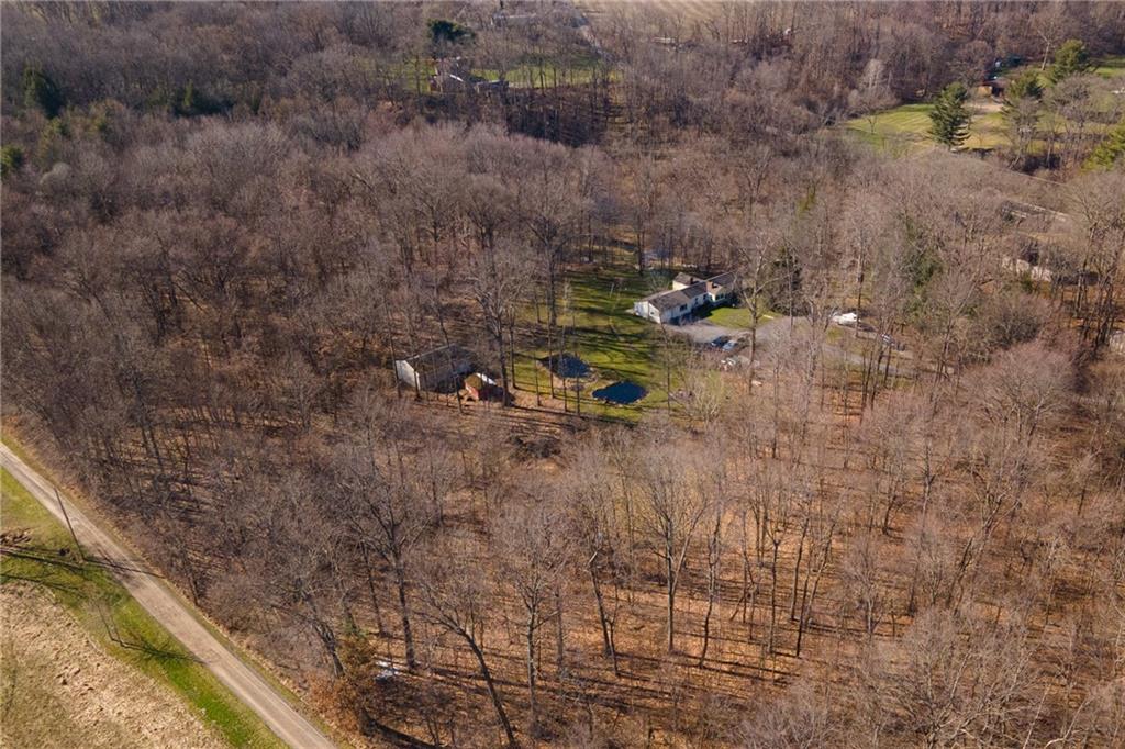264 Baird Road Edinburg, PA 16116 - Photo 21 of 23 a backyard of a house with lots of green space