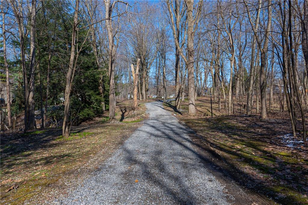 264 Baird Road Edinburg, PA 16116 - Photo 23 of 23 a view of a backyard with trees