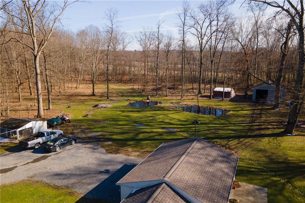 264 Baird Road Edinburg, PA 16116 - Photo 4 of 23 a view of a yard with large trees