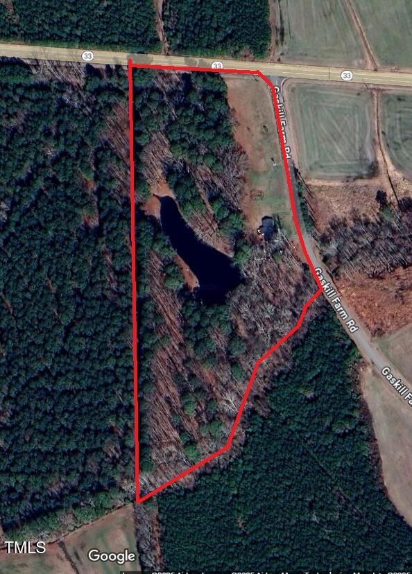 11382 Gaskill Farm Road Whitakers, NC 27891 - Photo 40 of 43 Birdseye